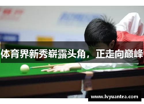 体育界新秀崭露头角，正走向巅峰
